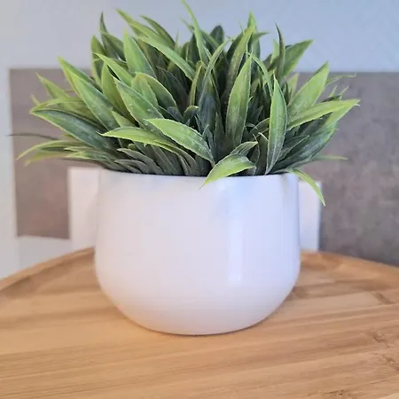 Cosy Et élégant Avec Place Privée *