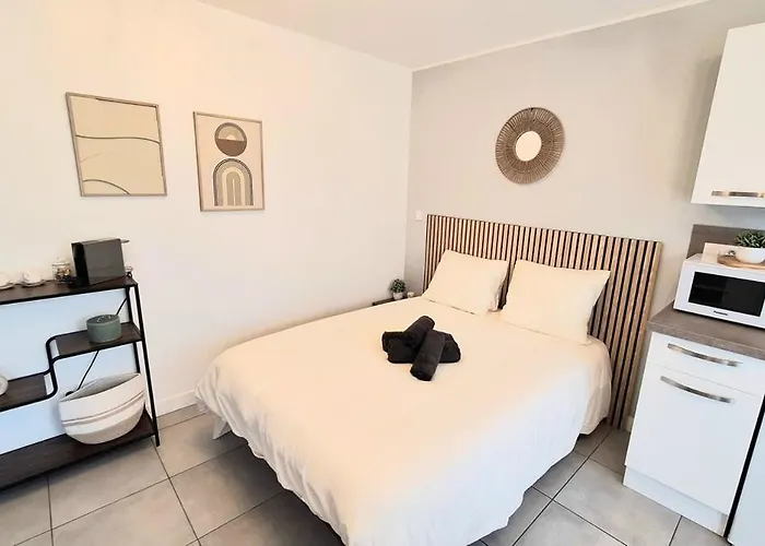 Cosy Et Elegant Avec Place Privee * 勒芒