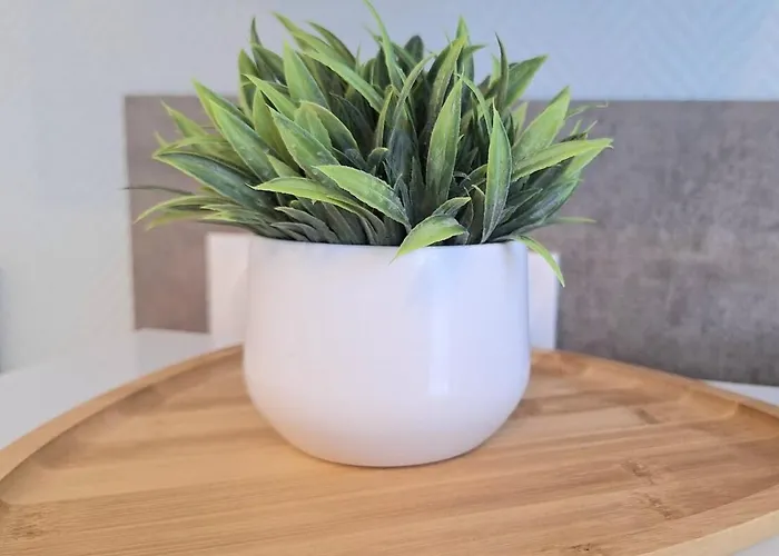 Cosy Et élégant Avec Place Privée *